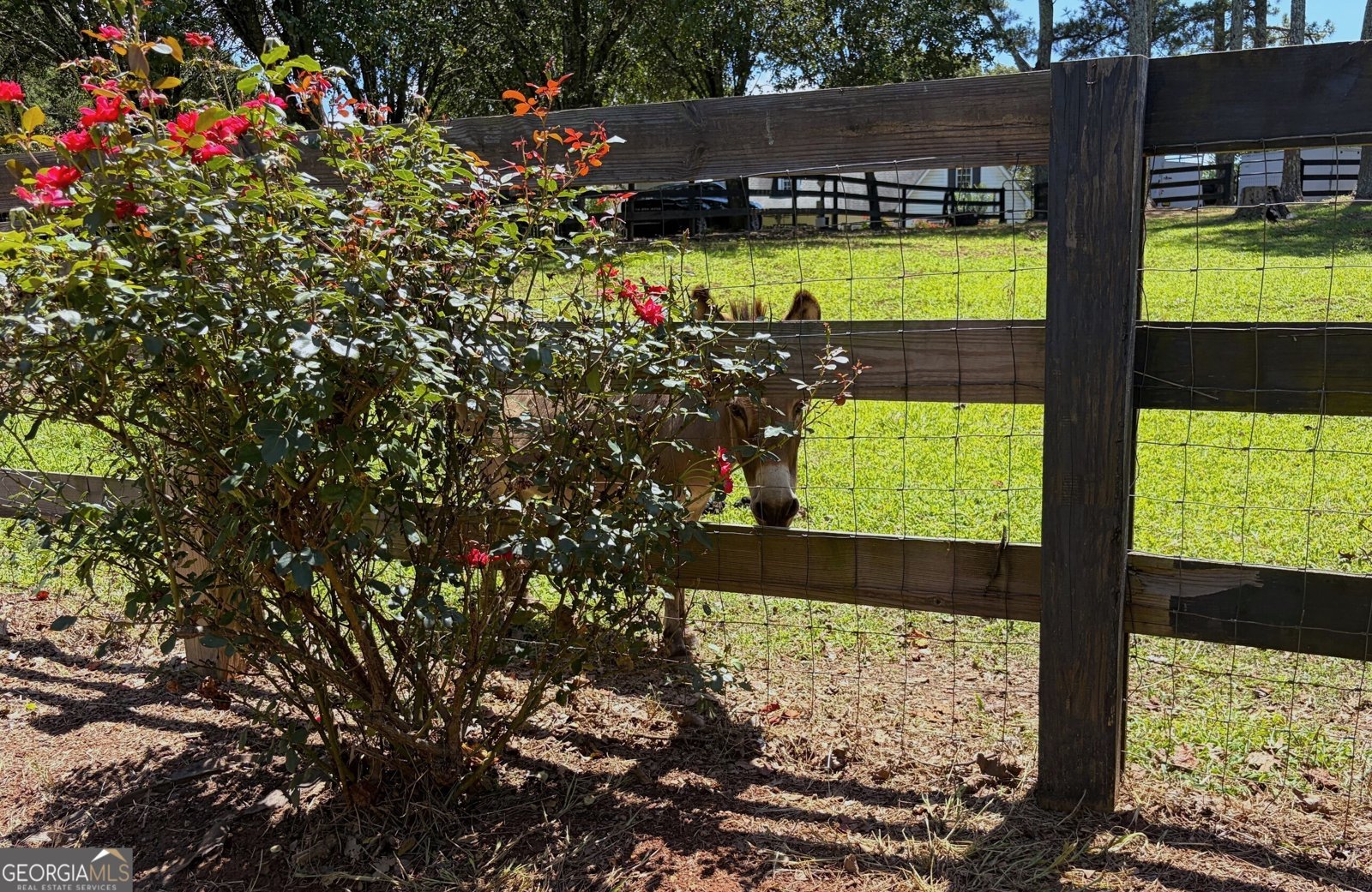 3204 Reavis Mountain Road Ball Ground - Photo 69