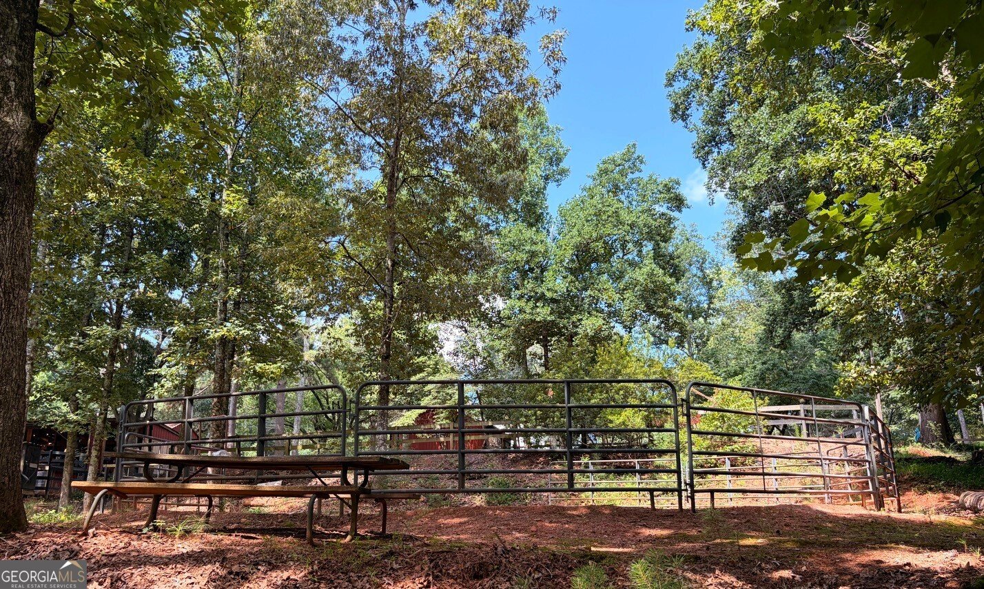3204 Reavis Mountain Road Ball Ground - Photo 80