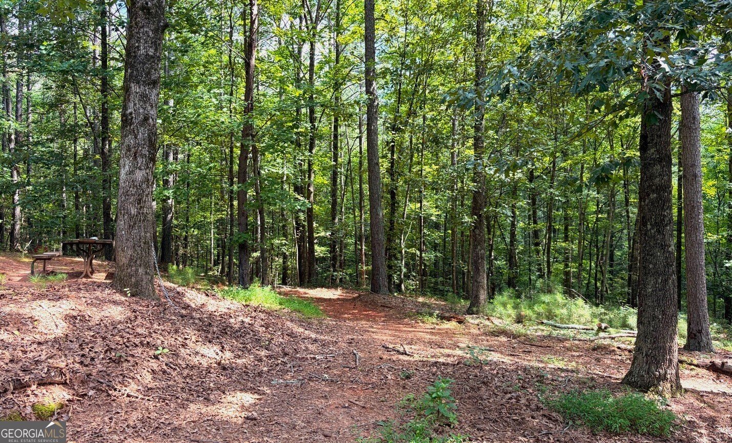 3204 Reavis Mountain Road Ball Ground - Photo 81