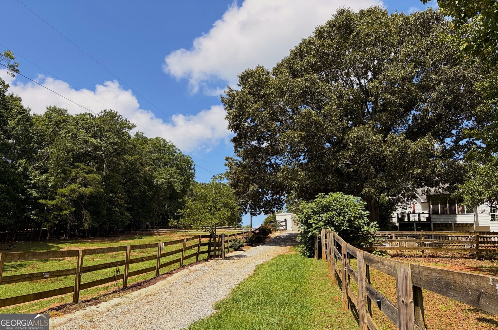 3204 Reavis Mountain Road Ball Ground - Photo 83