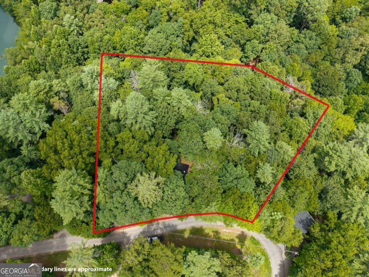 252 Granny Branch Drive Blue Ridge - Photo 23