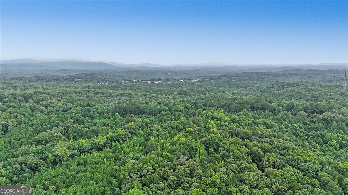 3300 Knox Bridge Highway Canton - Photo 10