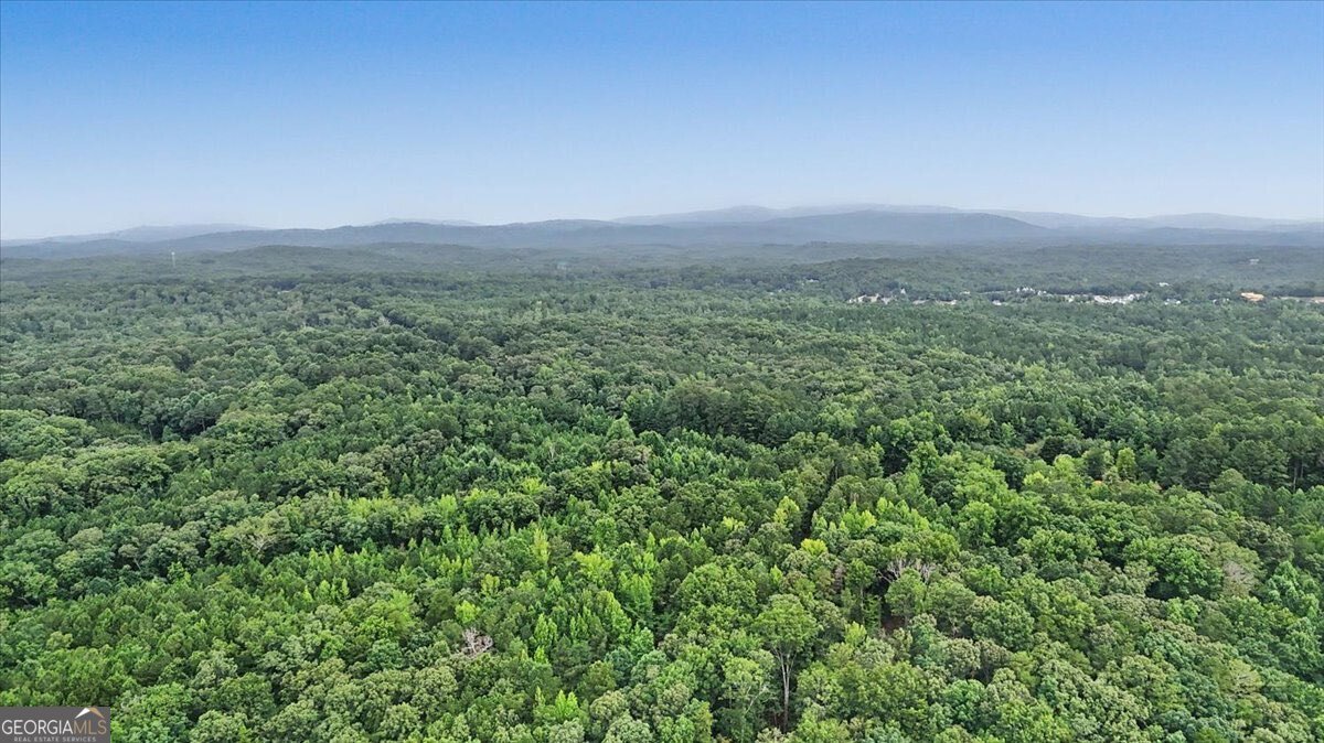 3300 Knox Bridge Highway Canton - Photo 13