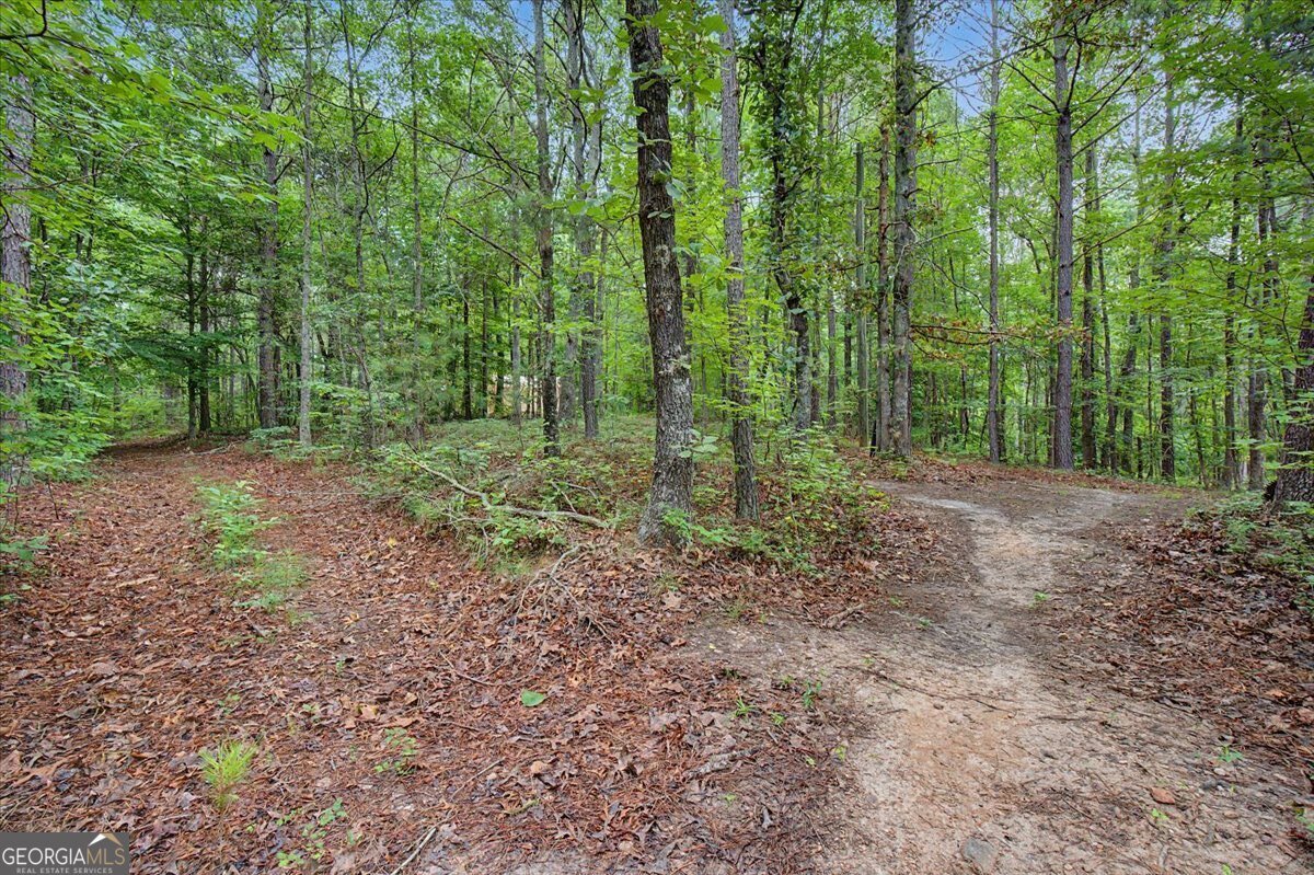 3300 Knox Bridge Highway Canton - Photo 18