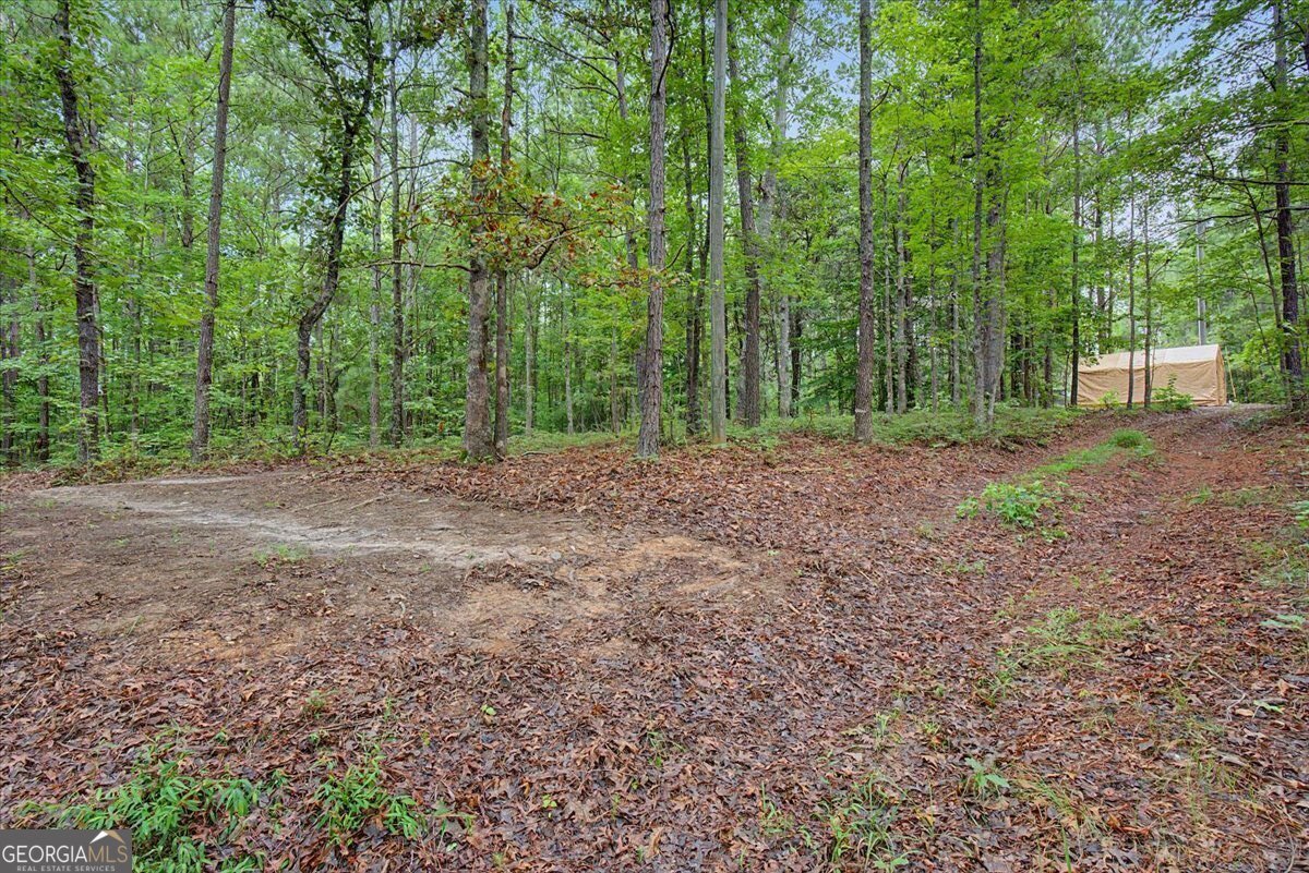 3300 Knox Bridge Highway Canton - Photo 19