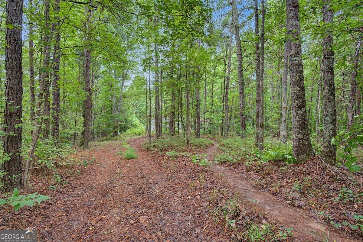 3300 Knox Bridge Highway Canton - Photo 20