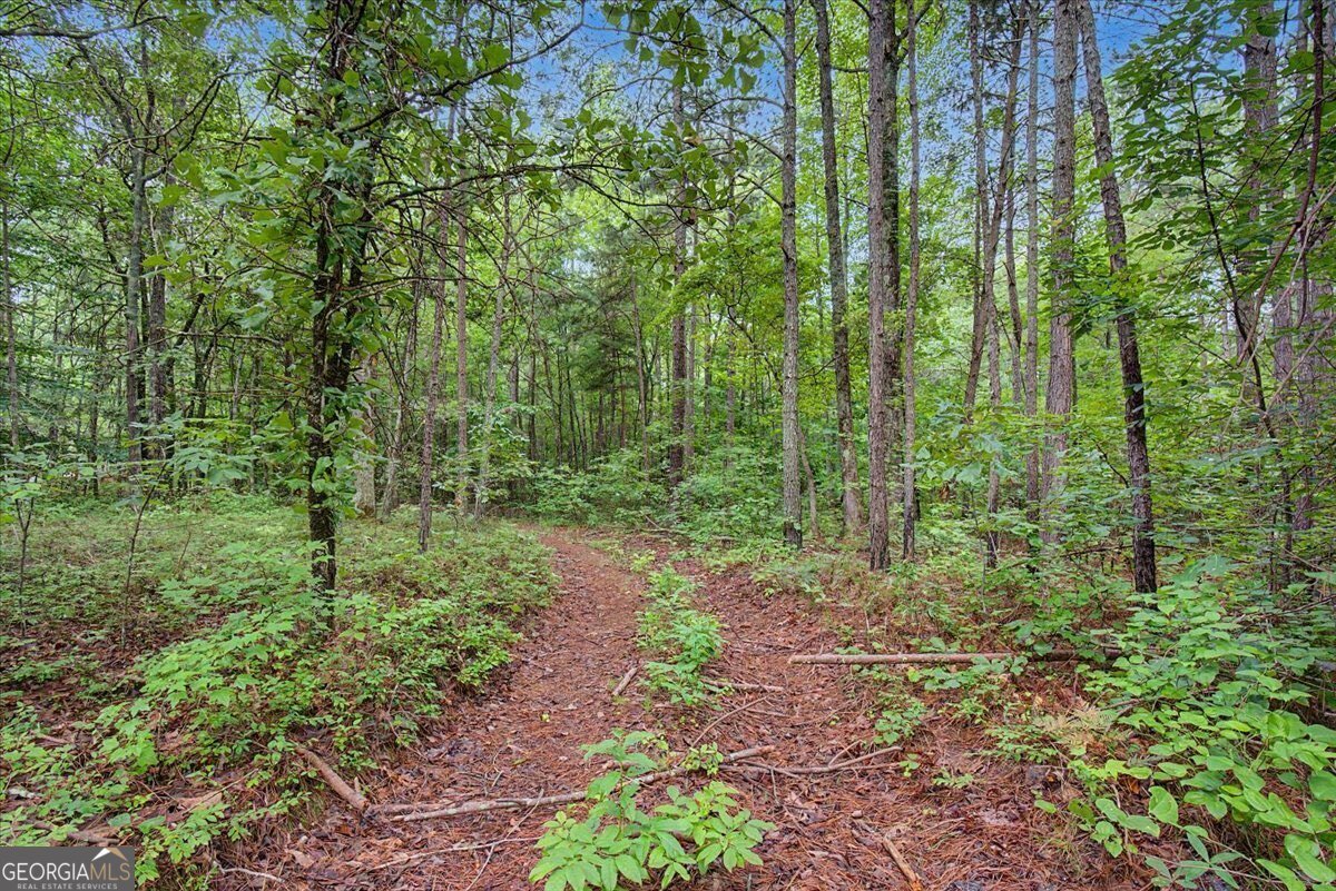 3300 Knox Bridge Highway Canton - Photo 21