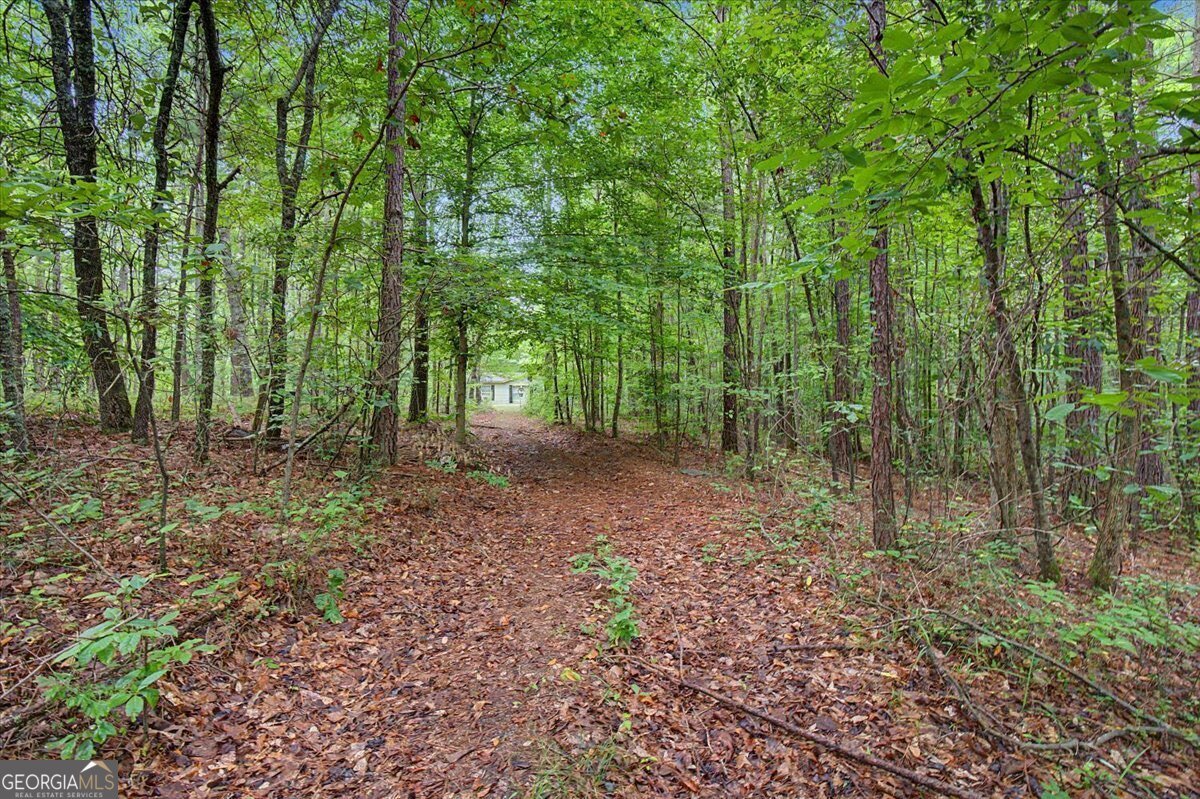 3300 Knox Bridge Highway Canton - Photo 22