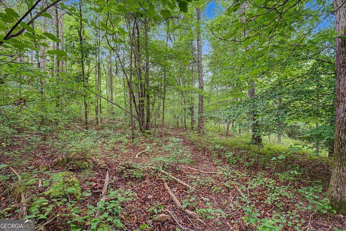 3300 Knox Bridge Highway Canton - Photo 24