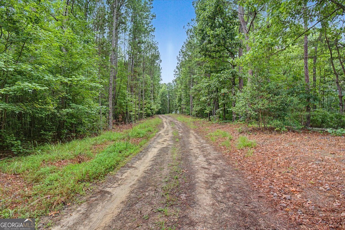 3300 Knox Bridge Highway Canton - Photo 25