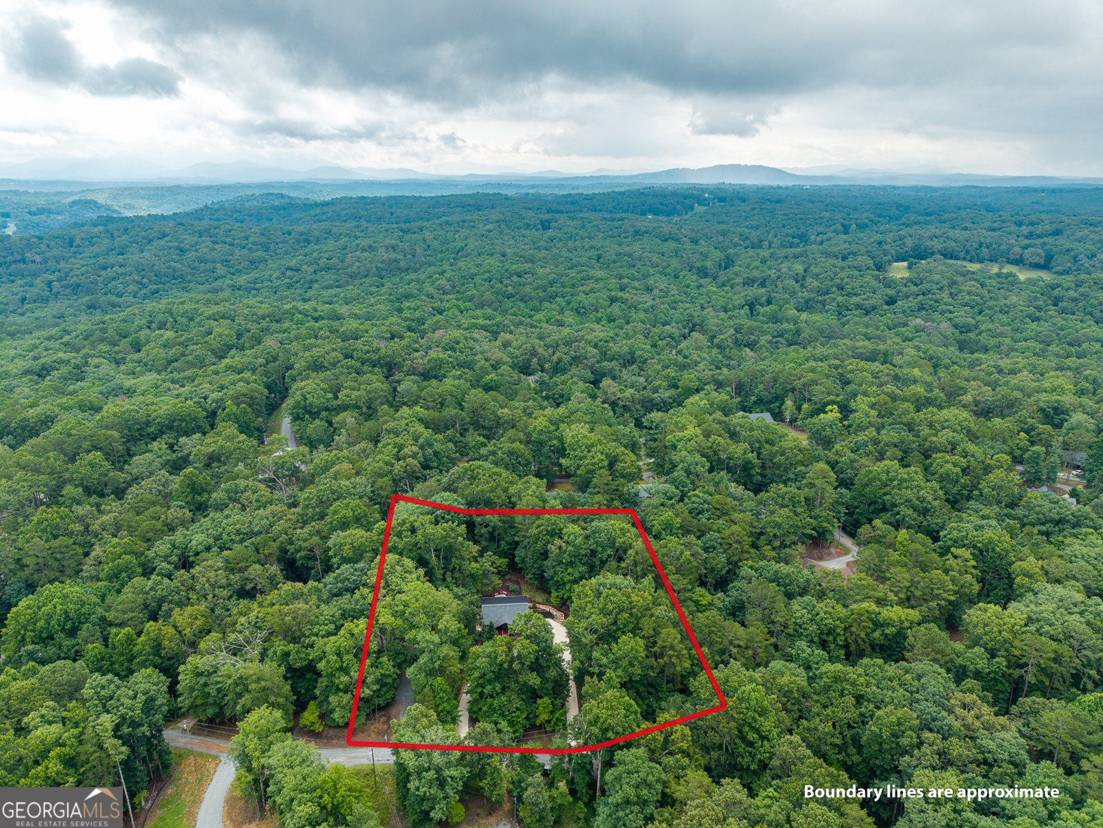 460 Pasha Drive Ellijay - Photo 46