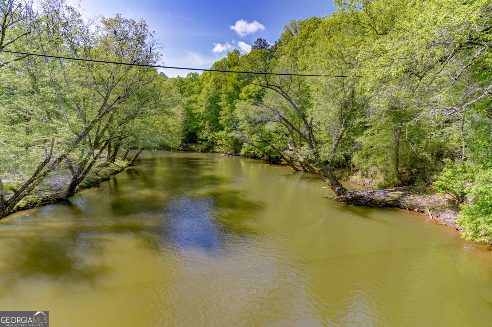 460 Pasha Drive Ellijay - Photo 57