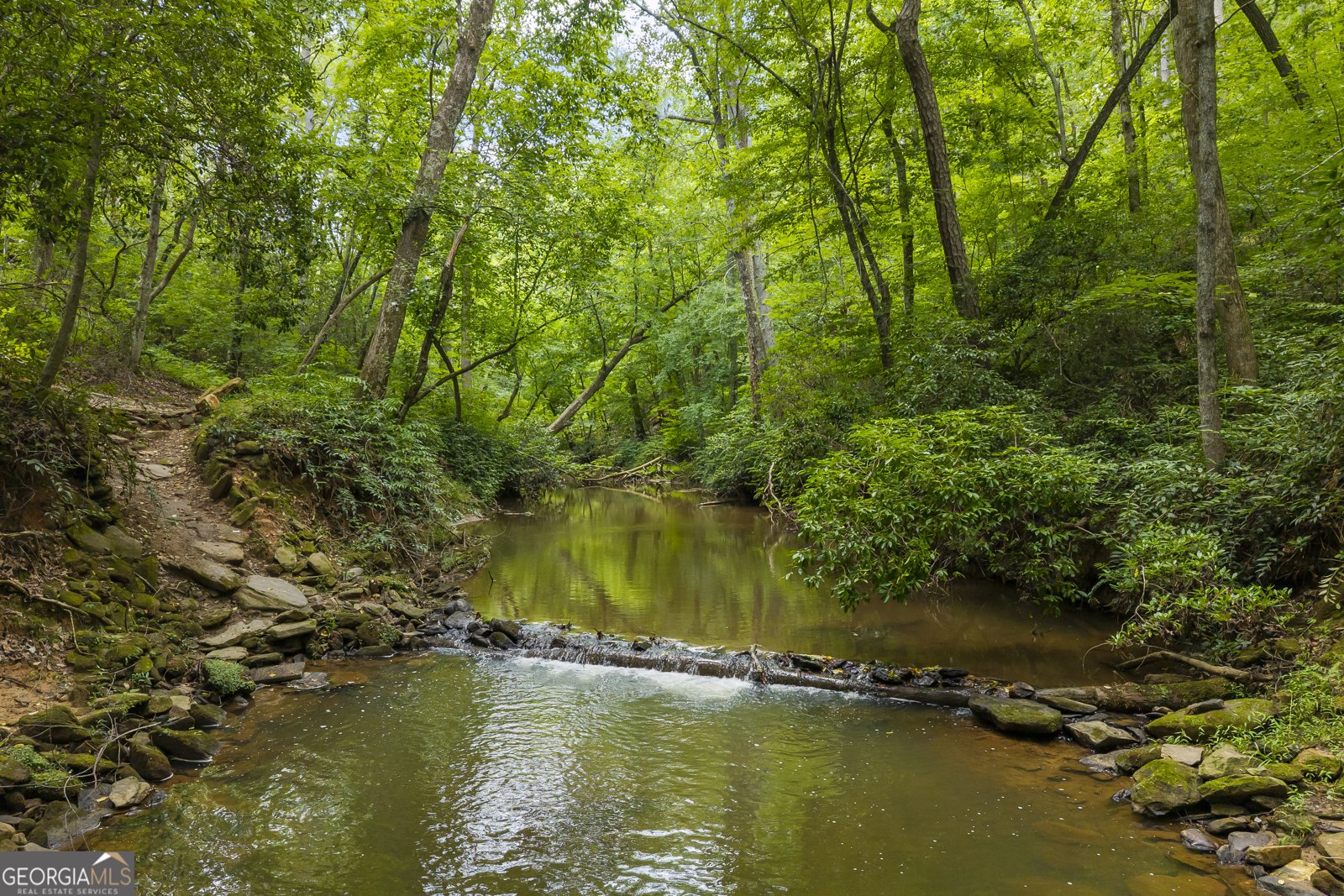 2374 Dean Mountain Road Cleveland - Photo 14