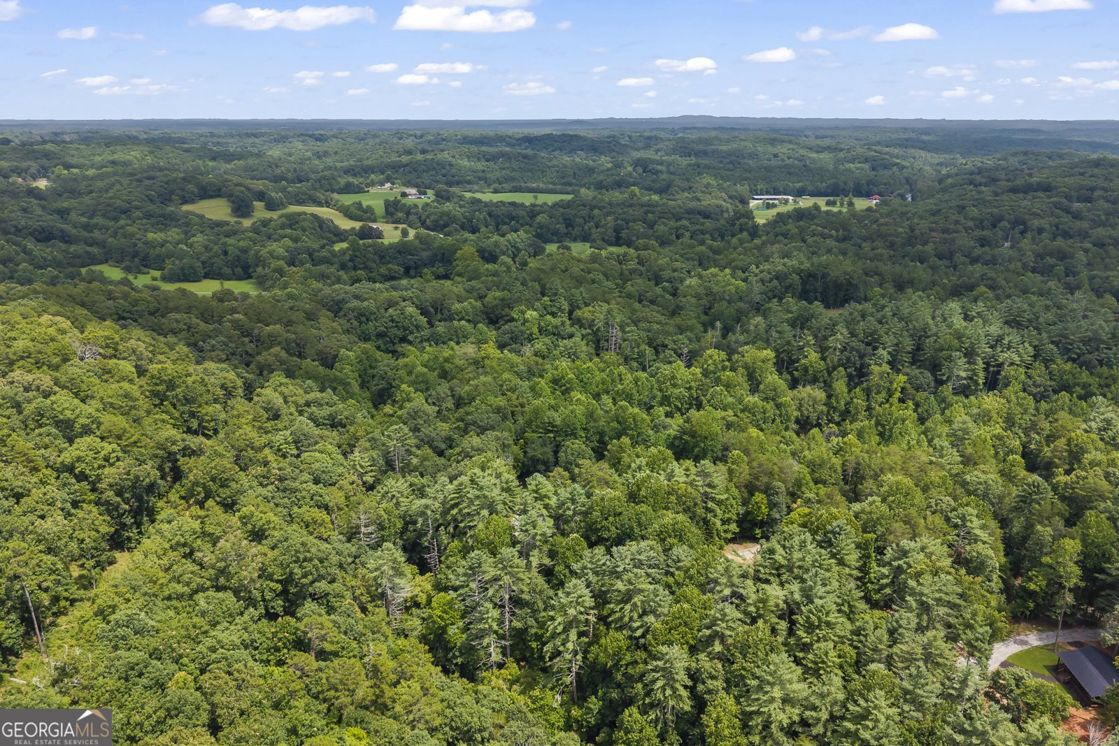 2374 Dean Mountain Road Cleveland - Photo 96