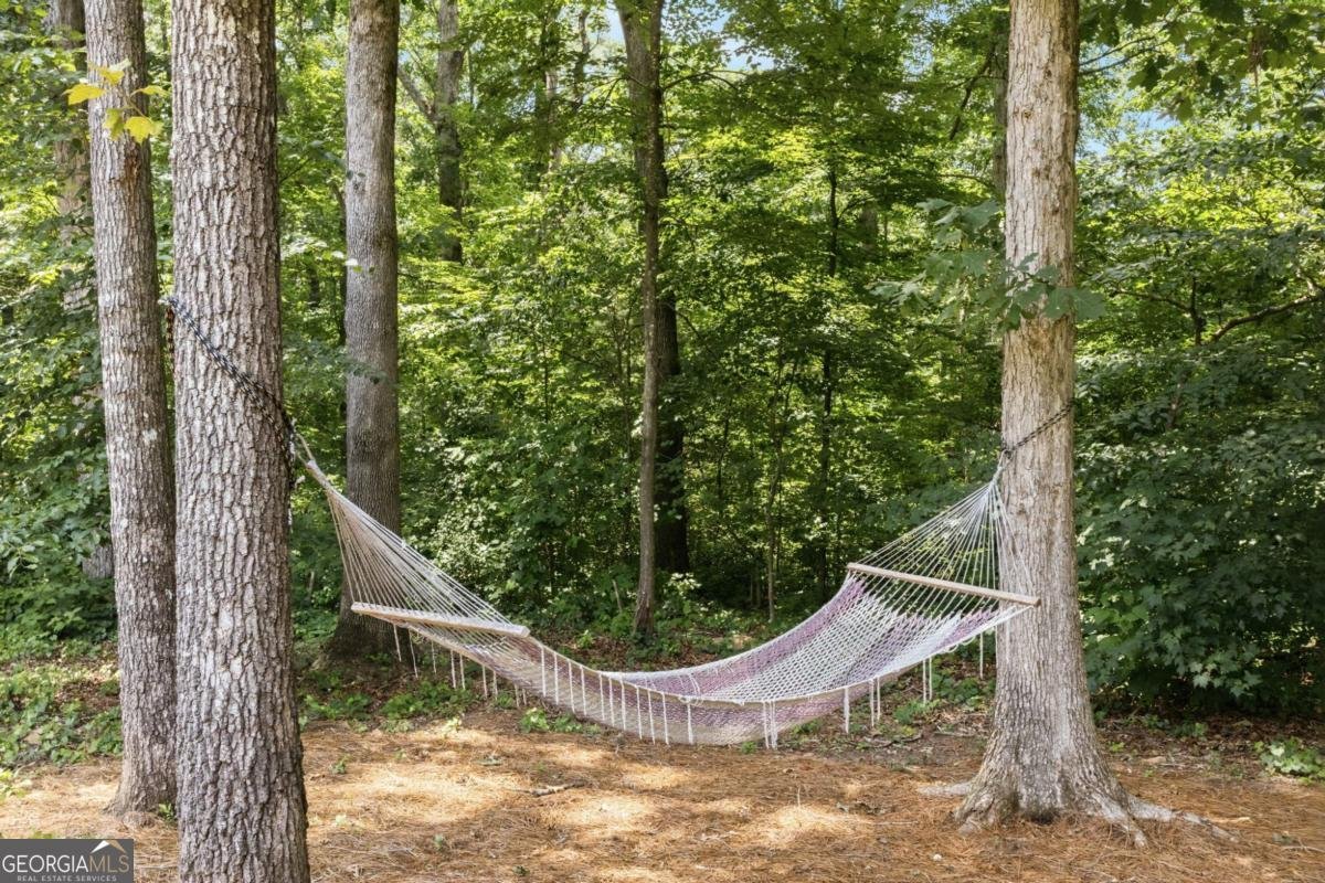 381 Parks Drive Ellijay - Photo 66