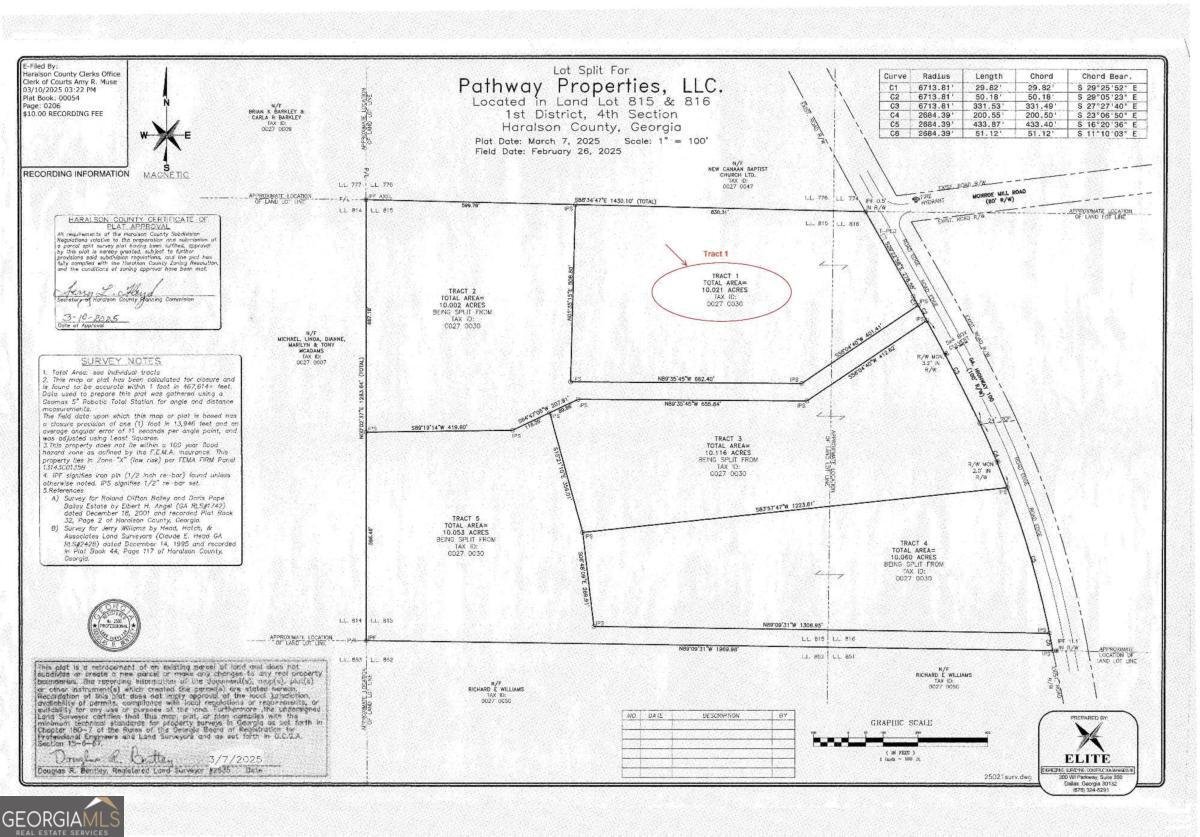 TRACT1 Georgia Highway 100 Buchanan - Photo 45
