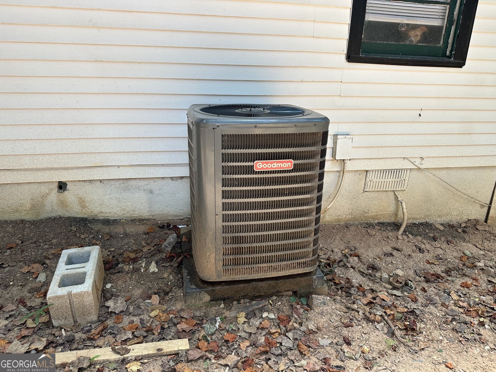 800 West Avenue Gainesville - Photo 11
