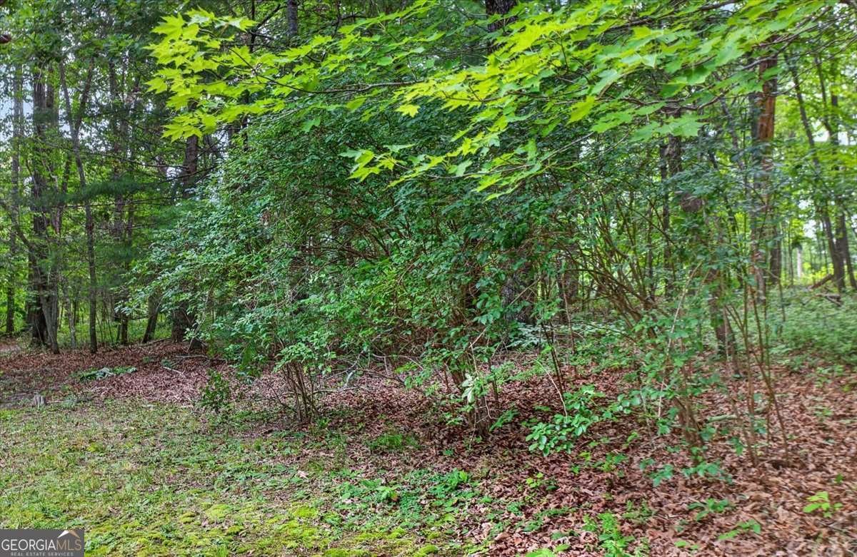 271 Broken Arrow Trail Dahlonega - Photo 38