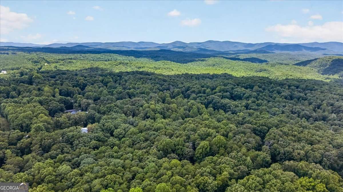271 Broken Arrow Trail Dahlonega - Photo 44