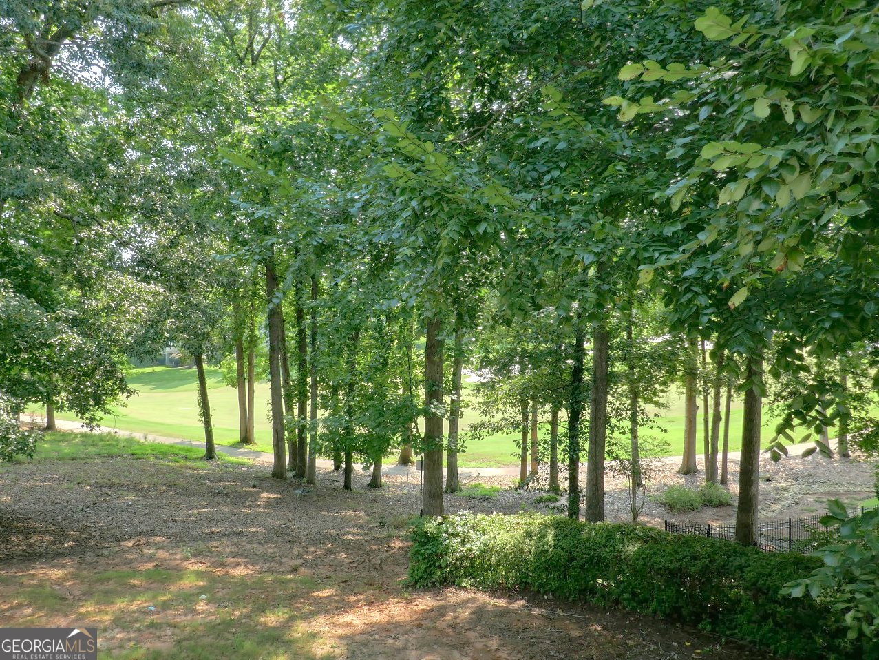 124 Somerset Hills McDonough - Photo 29