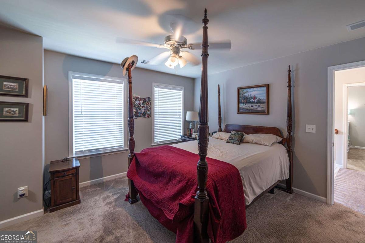 2445 Fisk Falls Drive Braselton - Photo 60
