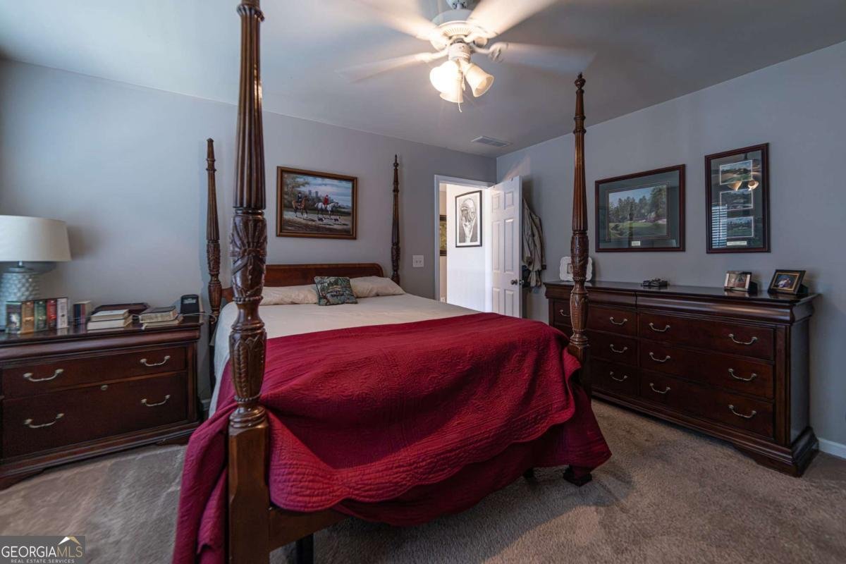 2445 Fisk Falls Drive Braselton - Photo 61