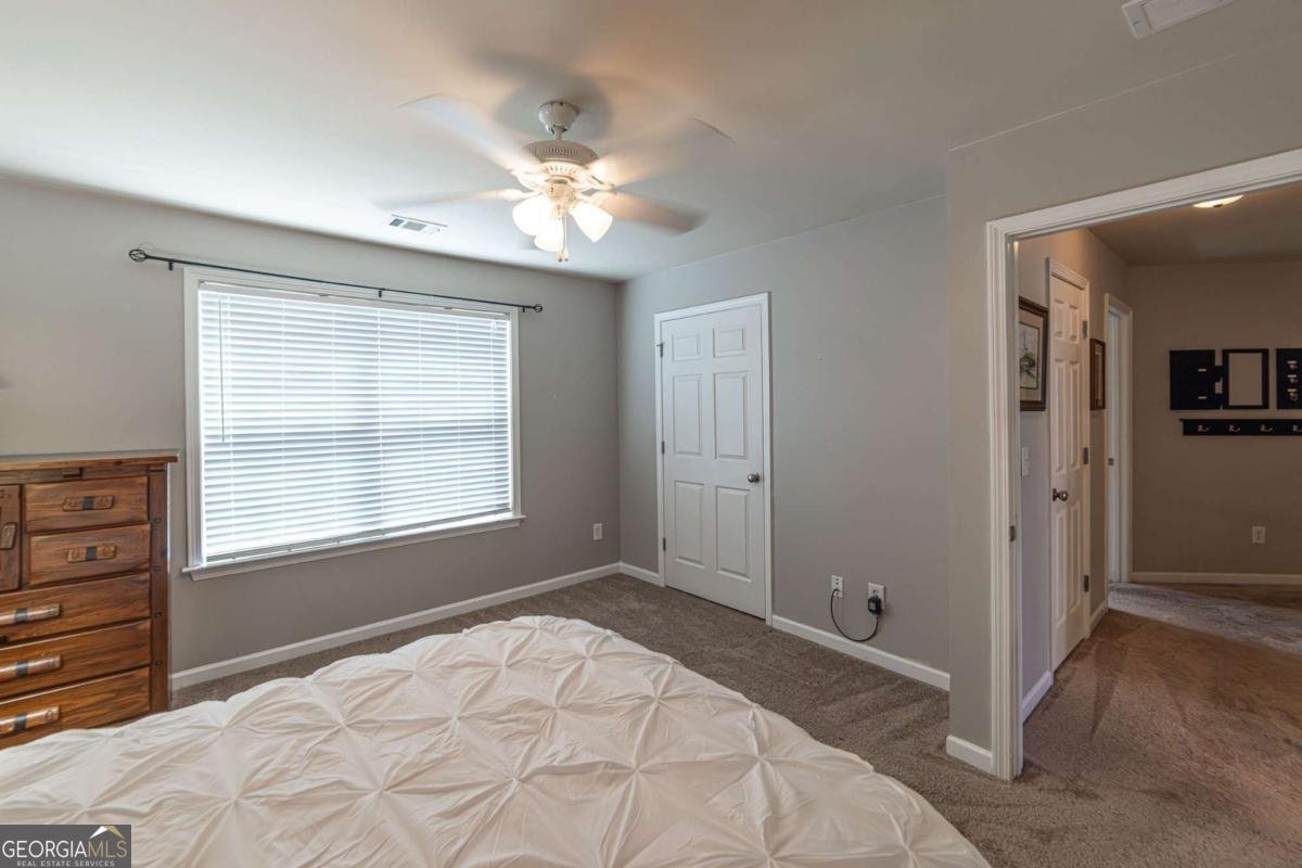 2445 Fisk Falls Drive Braselton - Photo 70