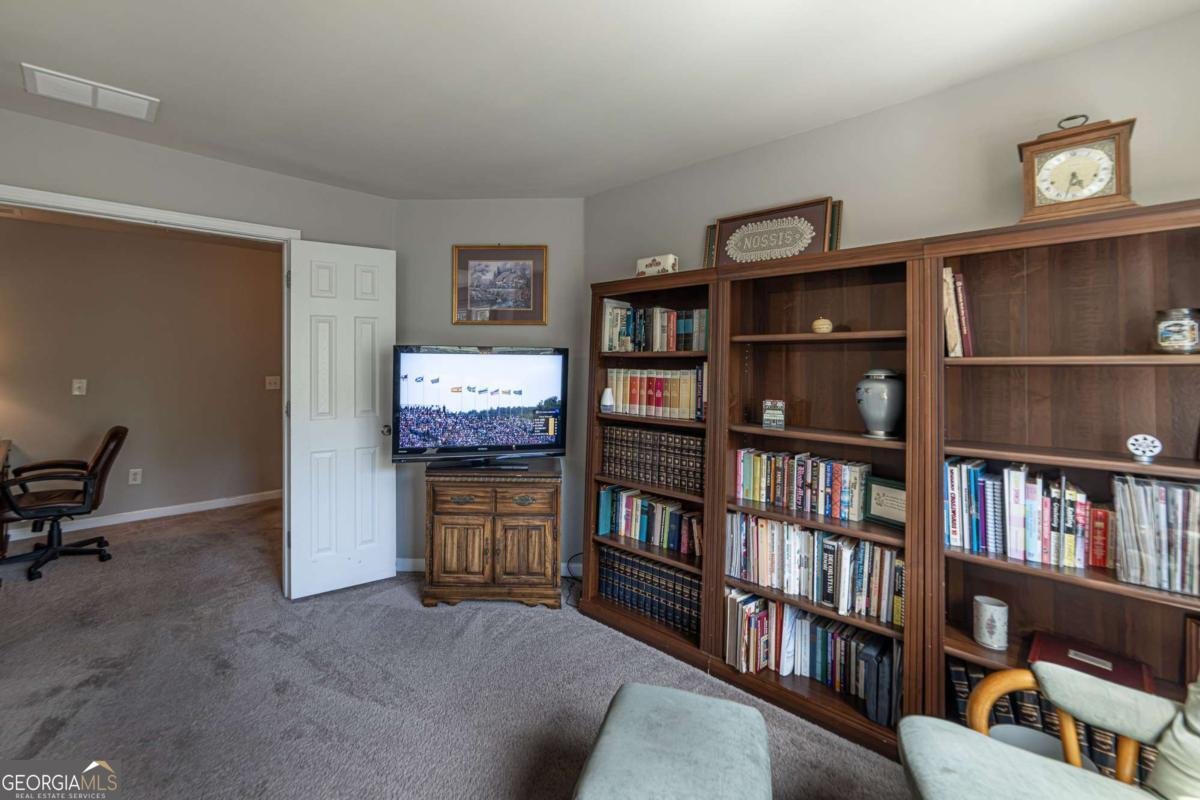 2445 Fisk Falls Drive Braselton - Photo 77
