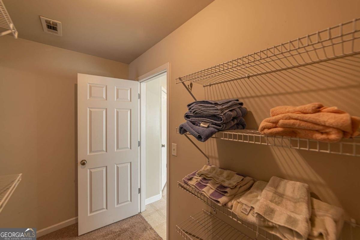 2445 Fisk Falls Drive Braselton - Photo 89