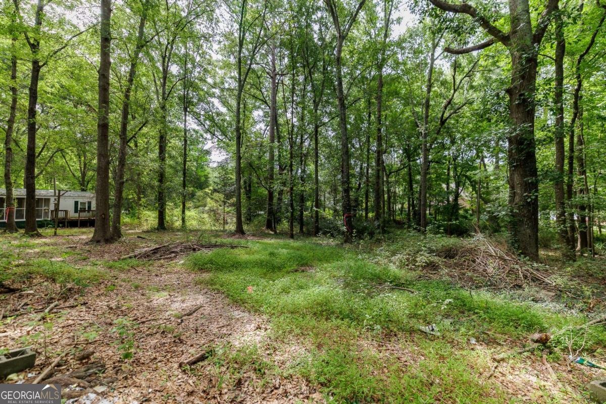 1541 Pete Dickens Road Bogart - Photo 23