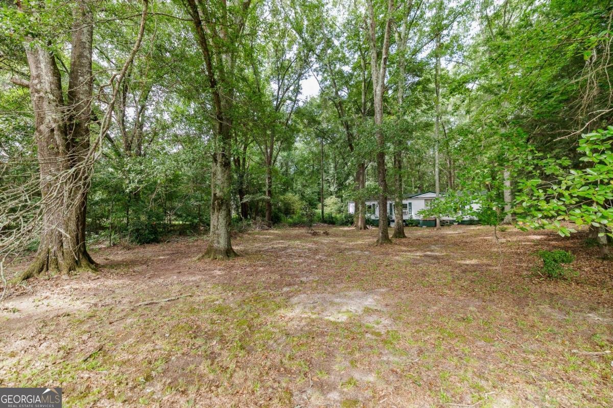 1541 Pete Dickens Road Bogart - Photo 33