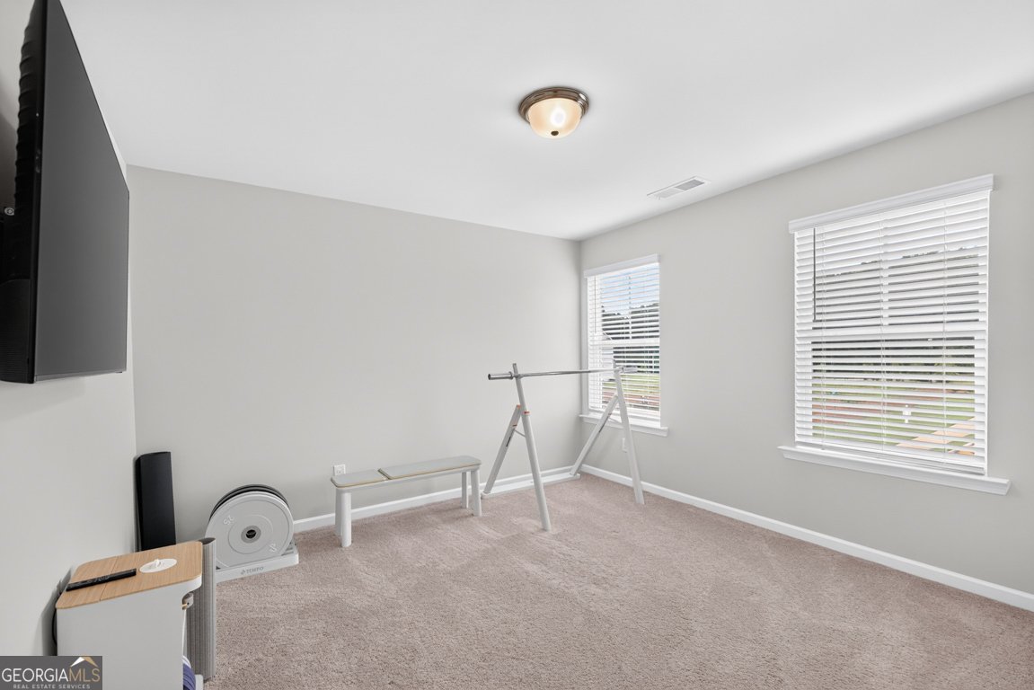 104 Grand Meadows Drive Hoschton - Photo 51