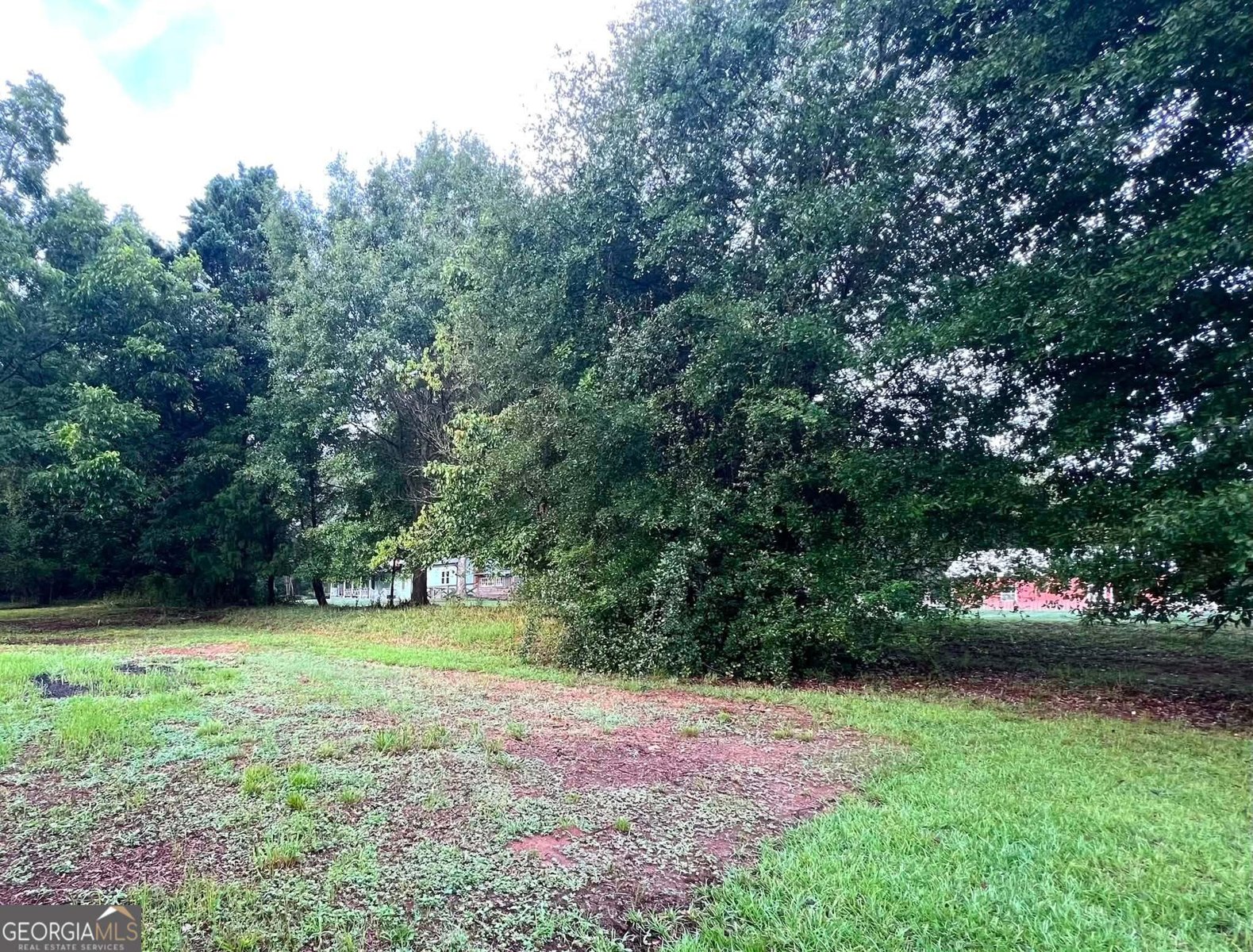 125 Wedgefield Drive McDonough - Photo 31