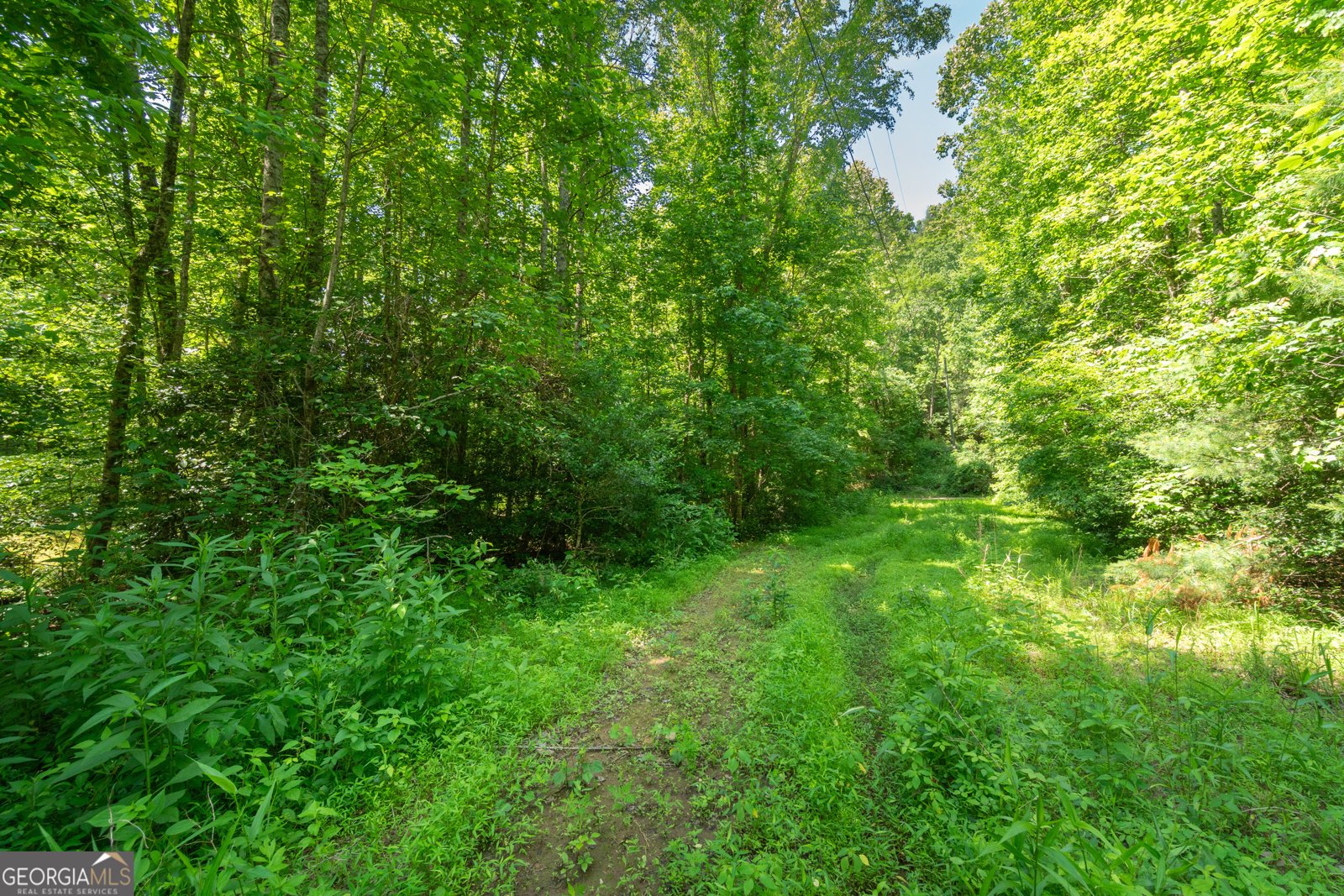 440 Joe Franklin Road Sautee Nacoochee - Photo 43