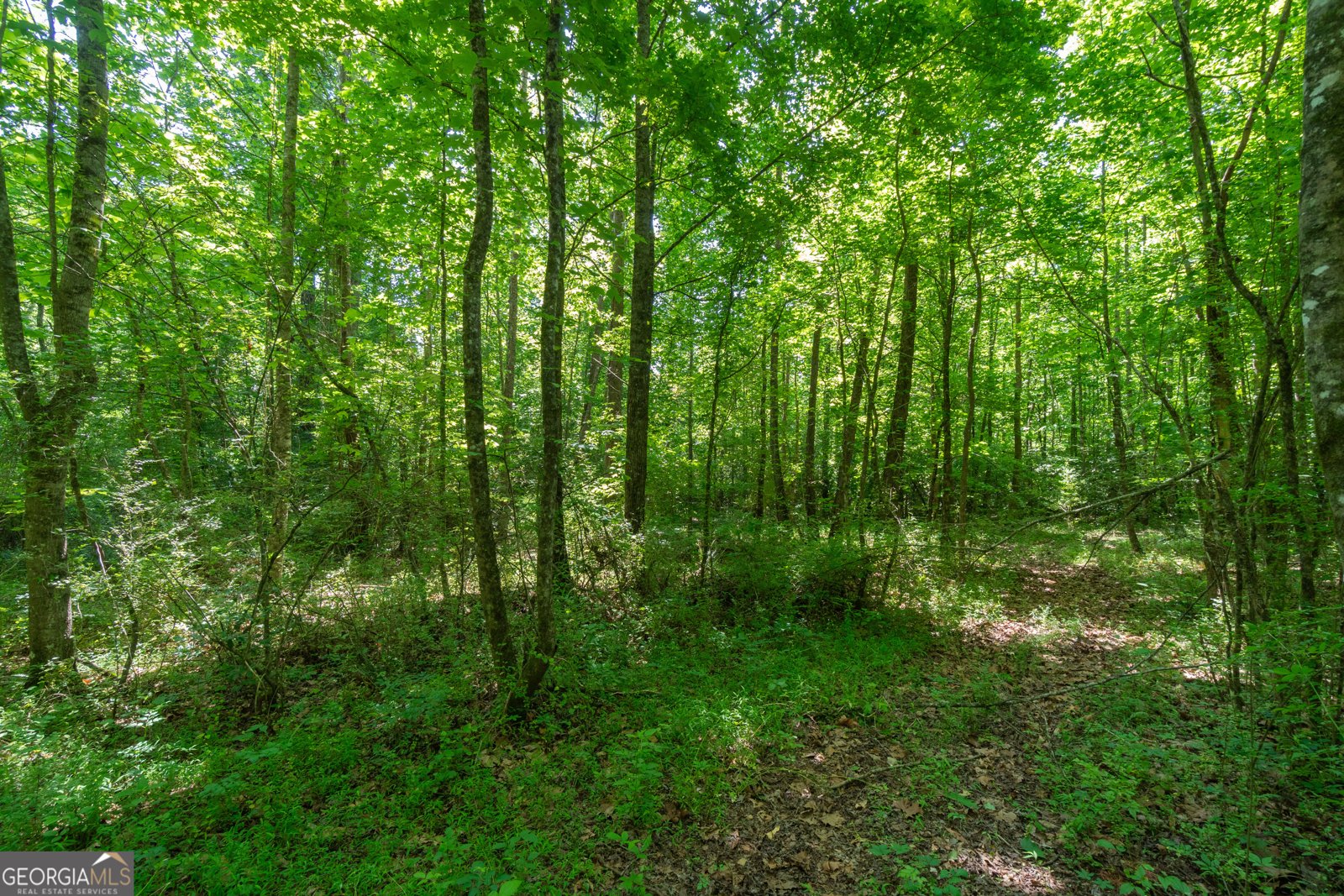 440 Joe Franklin Road Sautee Nacoochee - Photo 44