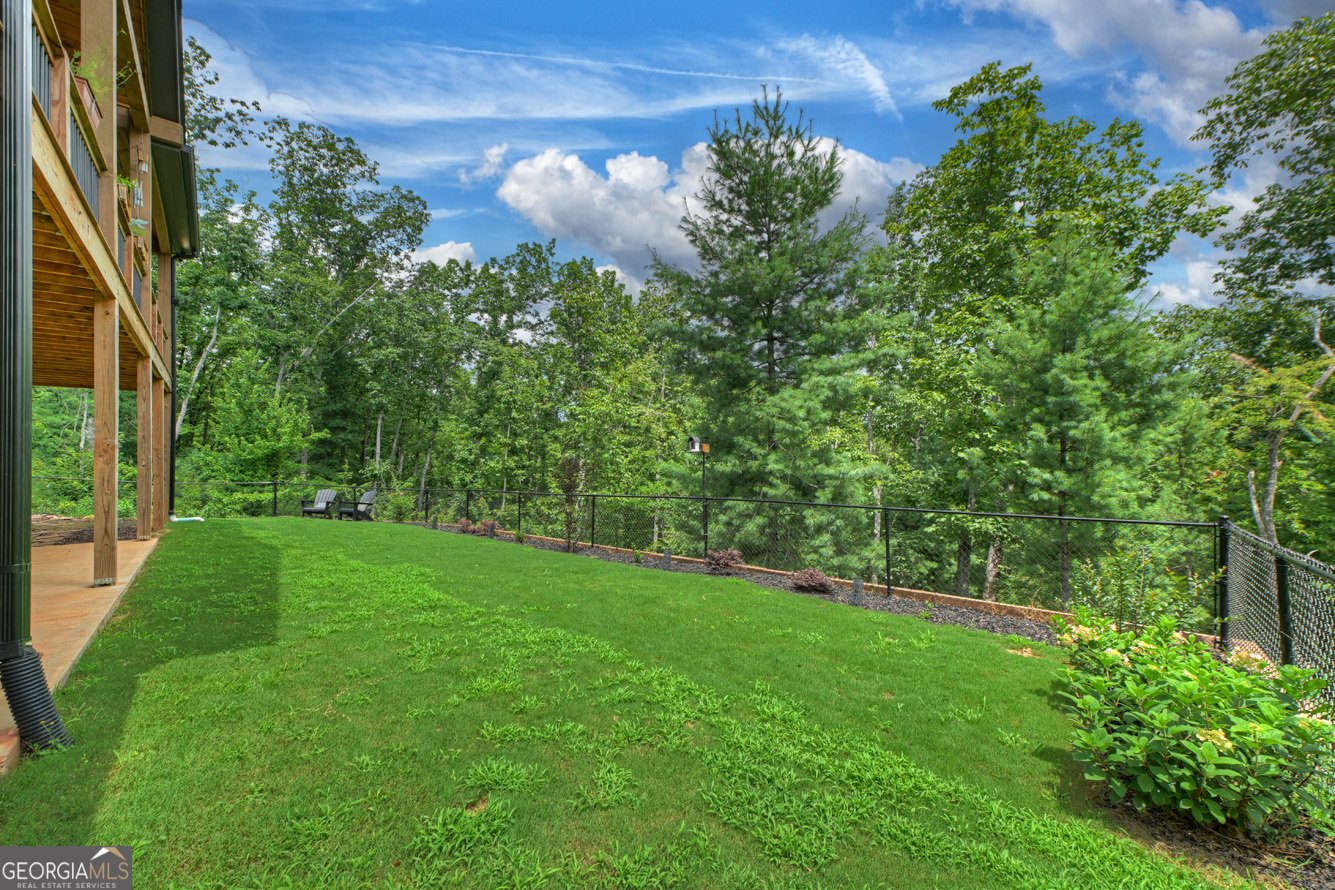 1567 Hap Holt Road Ellijay - Photo 55