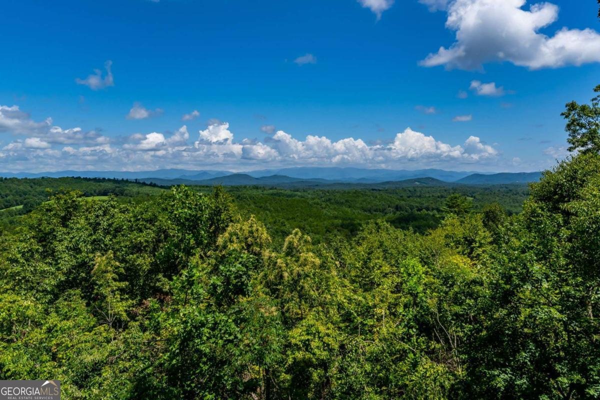 334 Hawks Claw Trail Morganton - Photo 51