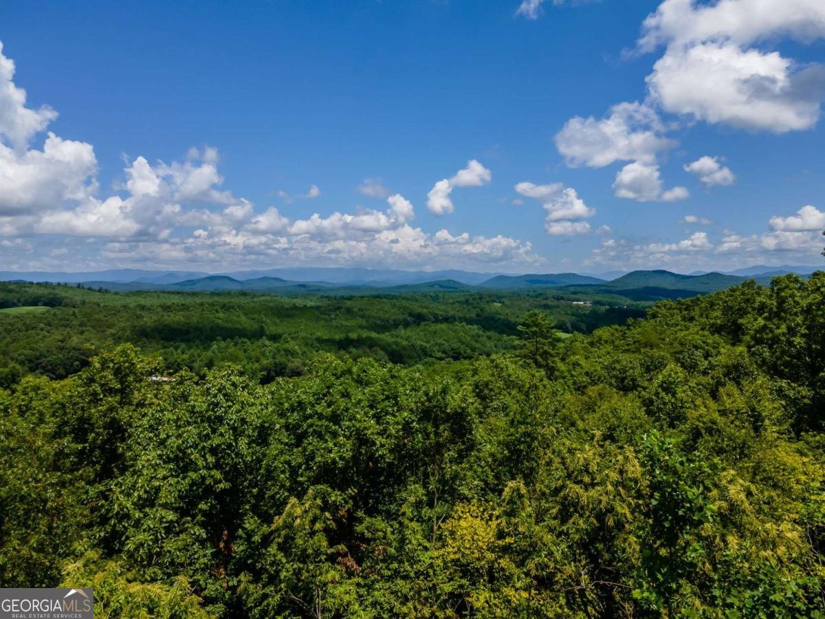 334 Hawks Claw Trail Morganton - Photo 52