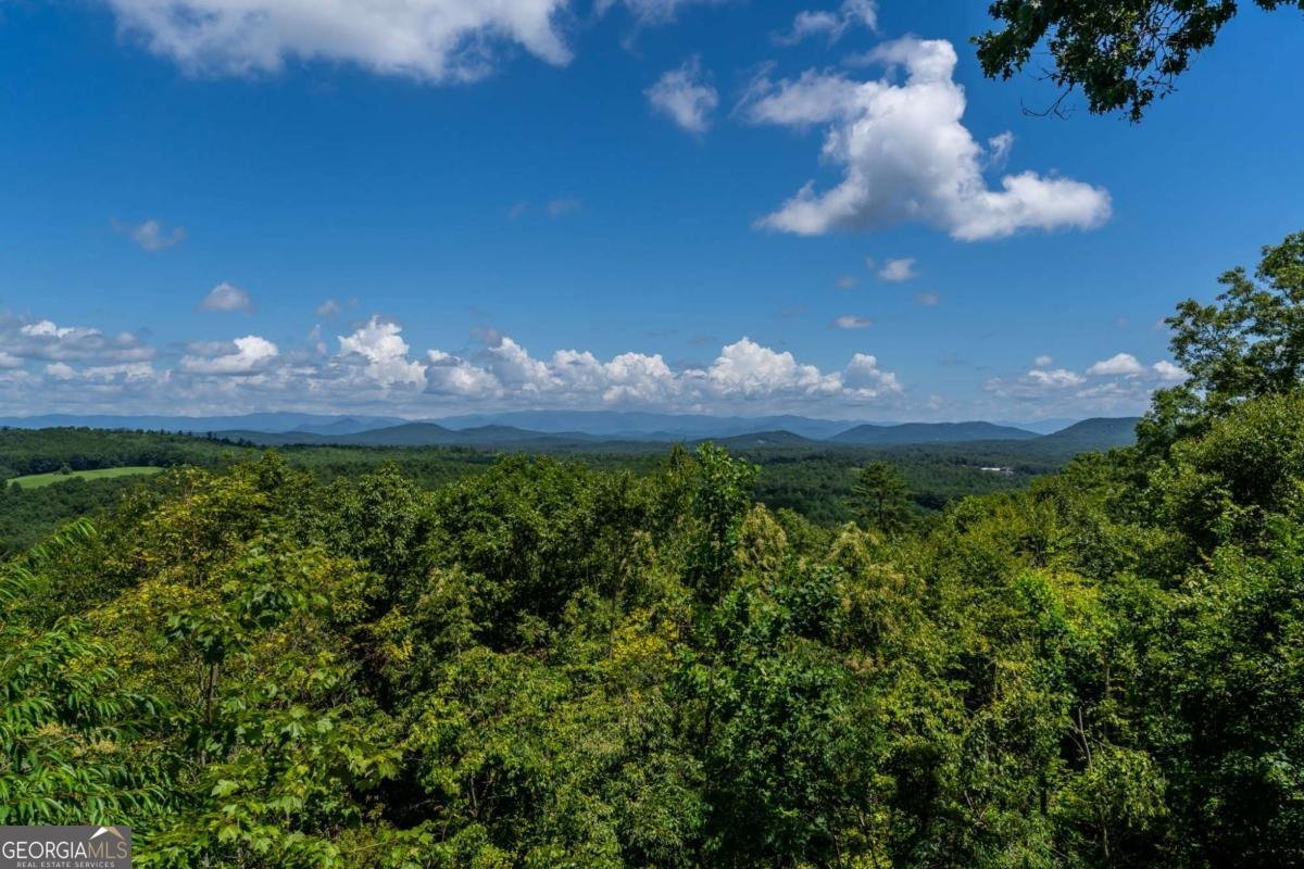 334 Hawks Claw Trail Morganton - Photo 61