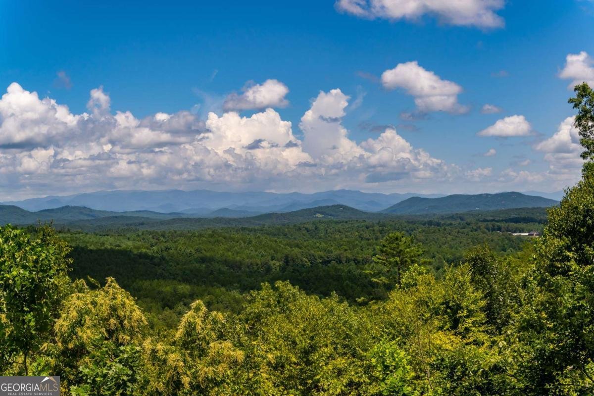 334 Hawks Claw Trail Morganton - Photo 62