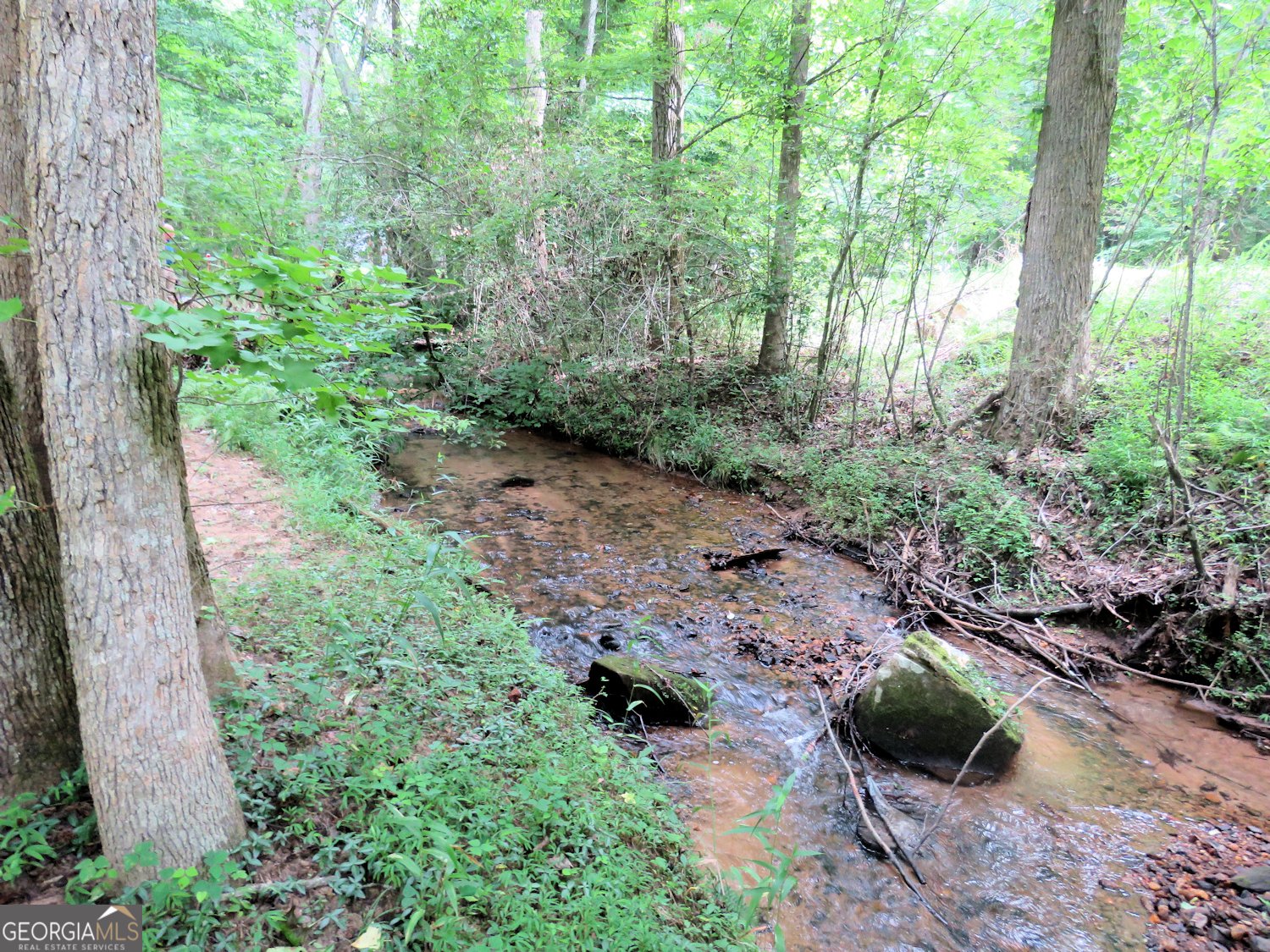 277 Wards Creek Drive Dahlonega - Photo 56