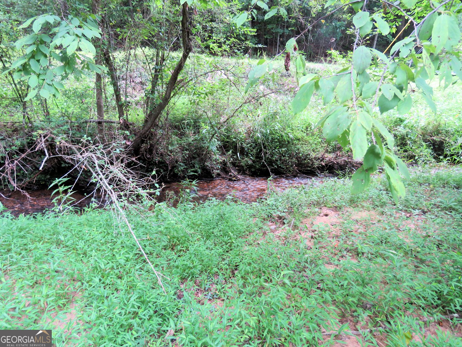 277 Wards Creek Drive Dahlonega - Photo 58