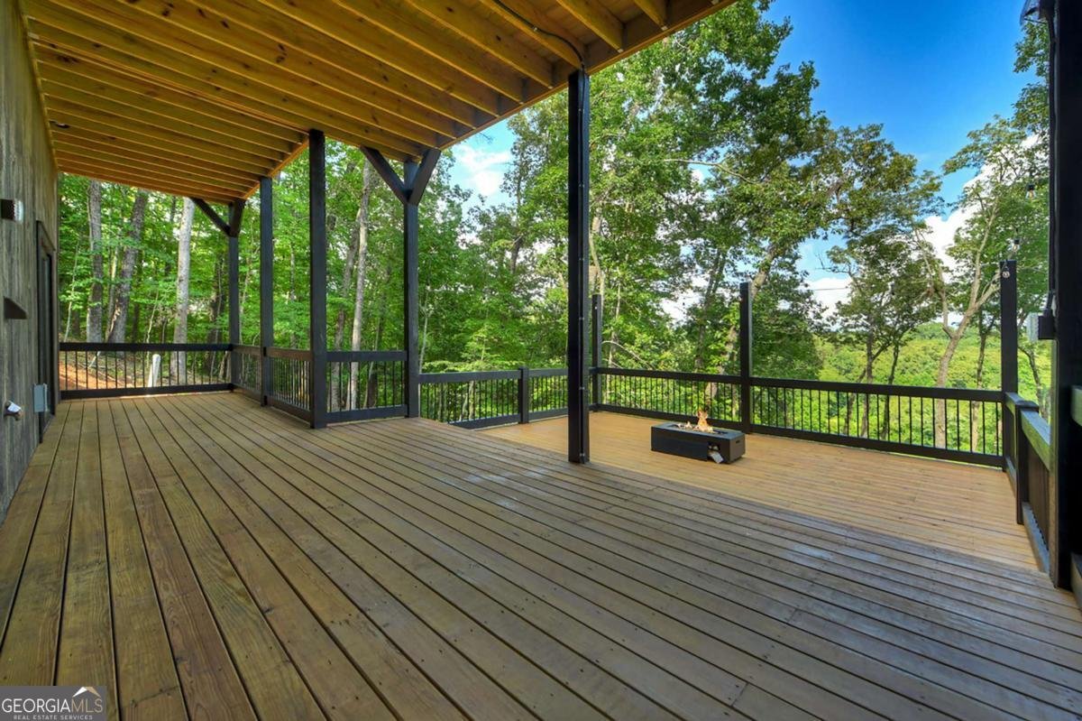 1729 Barnes Chapel Road Blue Ridge - Photo 39