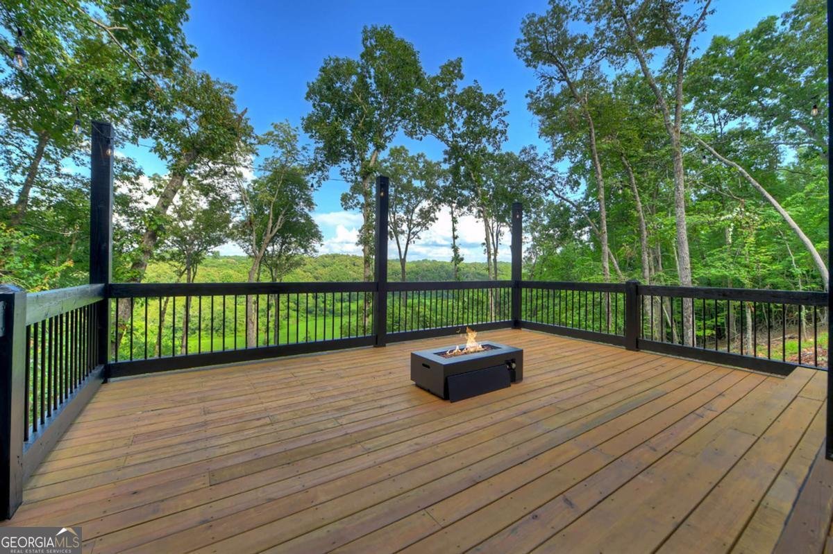 1729 Barnes Chapel Road Blue Ridge - Photo 40