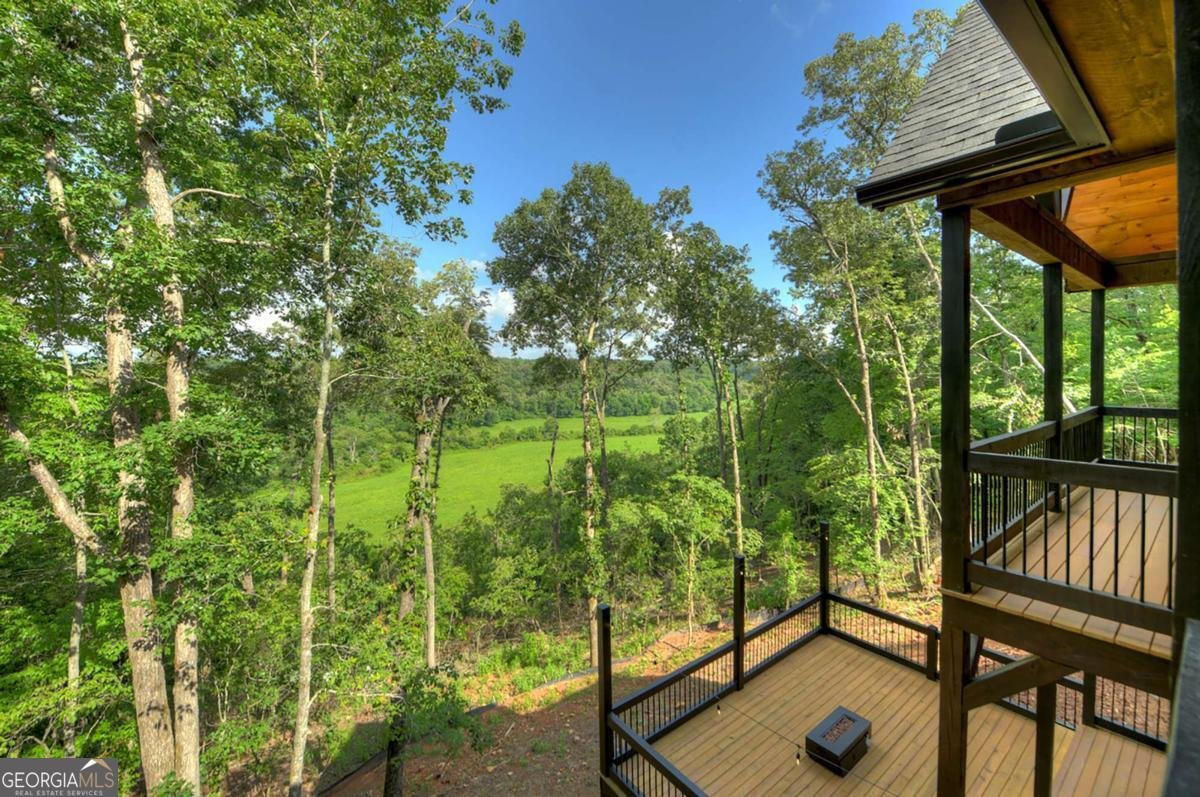 1729 Barnes Chapel Road Blue Ridge - Photo 43