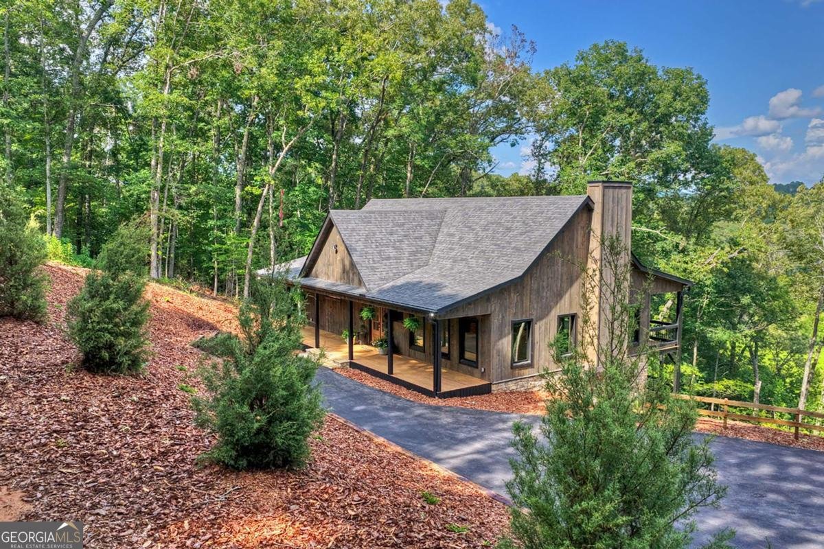 1729 Barnes Chapel Road Blue Ridge - Photo 45