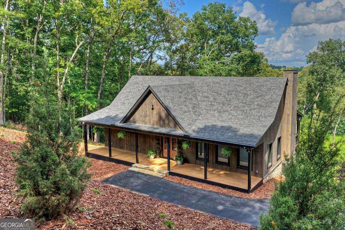 1729 Barnes Chapel Road Blue Ridge - Photo 46