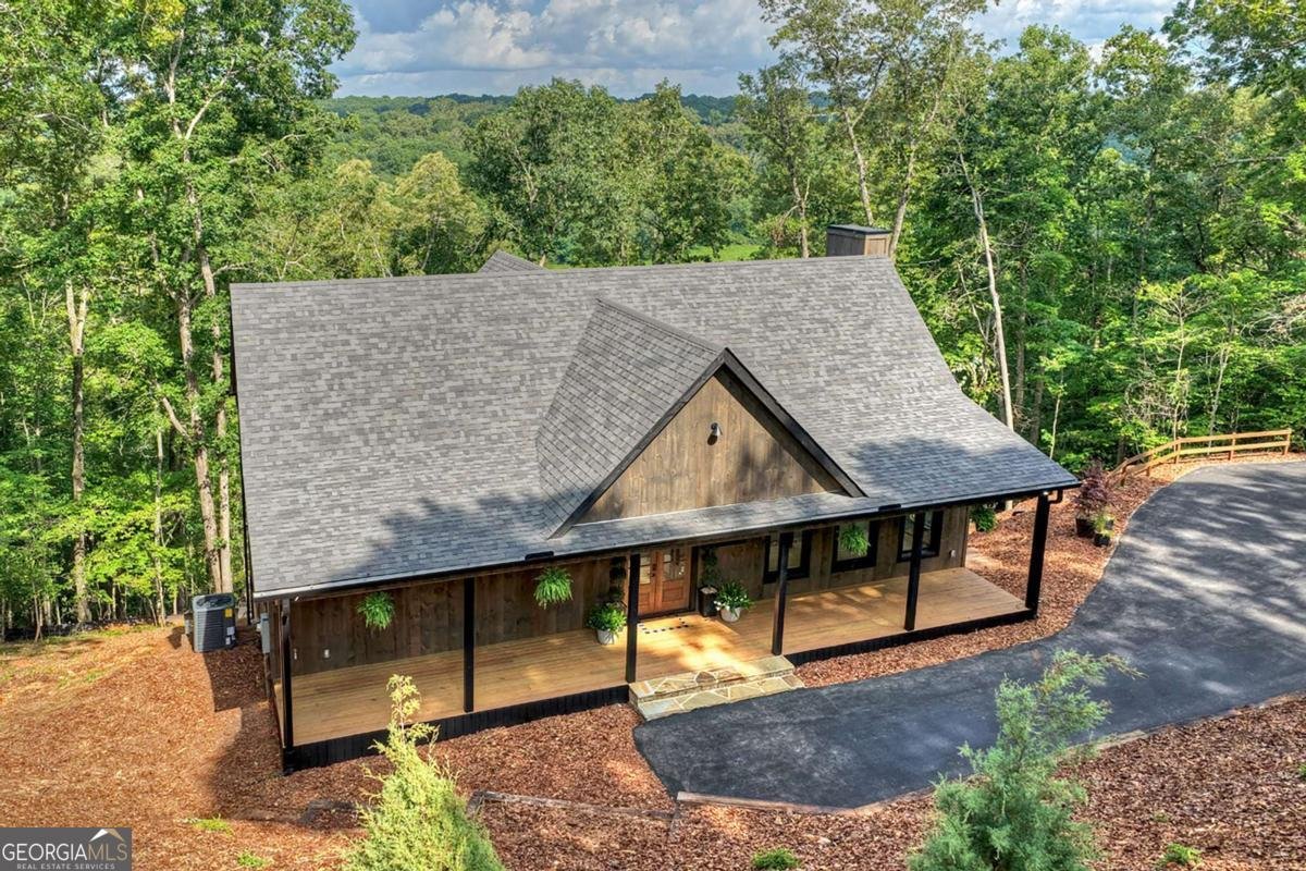 1729 Barnes Chapel Road Blue Ridge - Photo 47