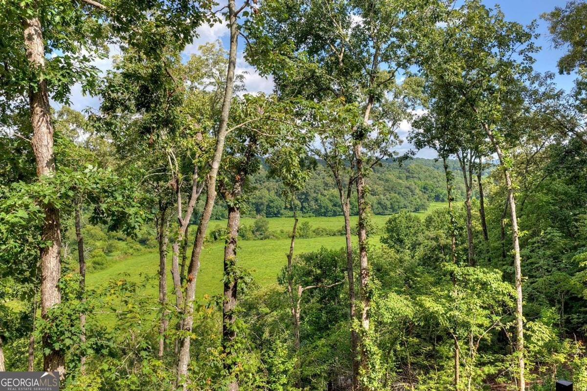 1729 Barnes Chapel Road Blue Ridge - Photo 52