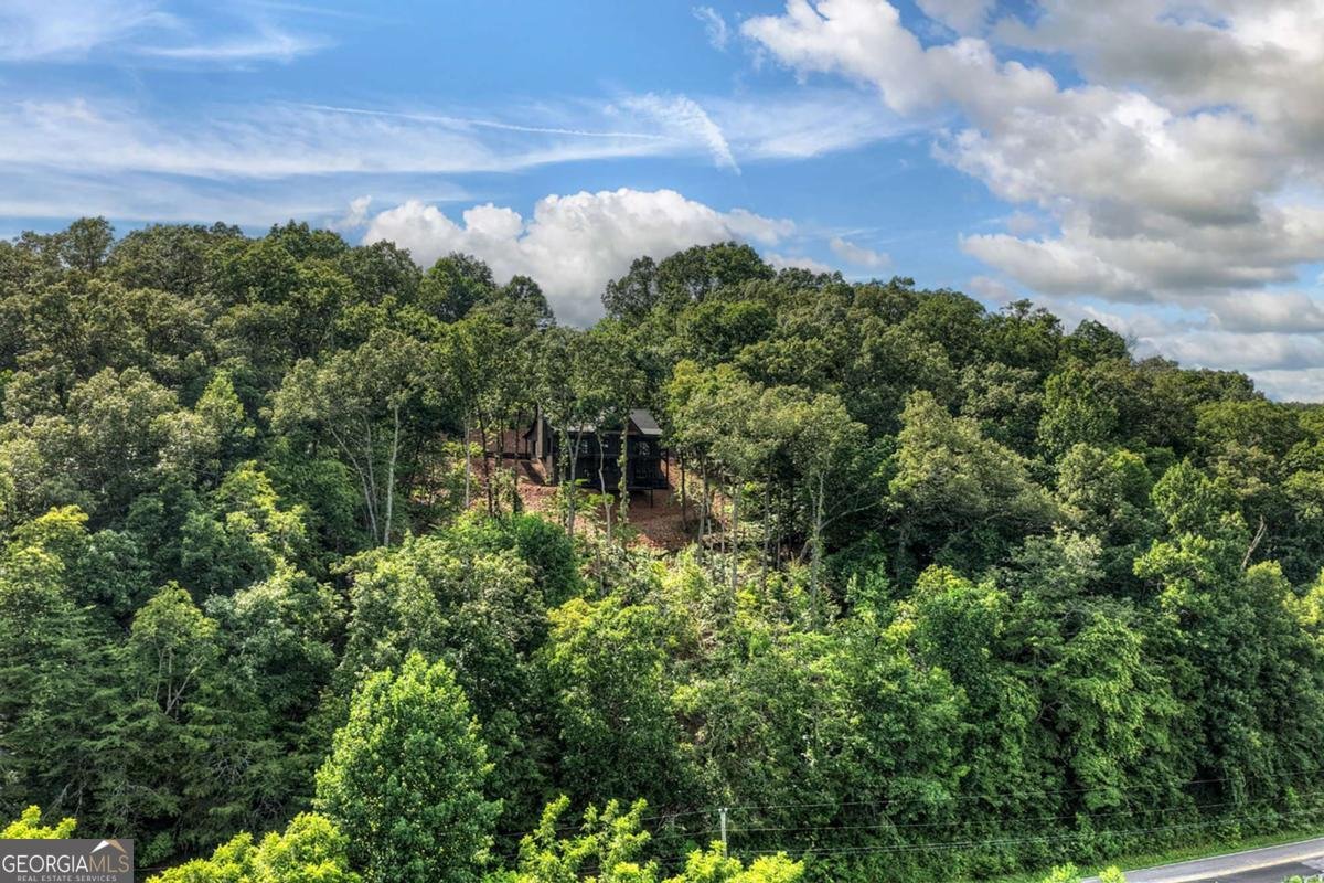 1729 Barnes Chapel Road Blue Ridge - Photo 54